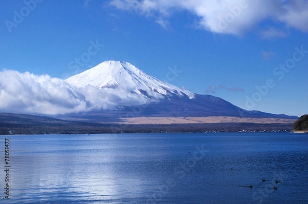 Obraz 山中湖と富士山