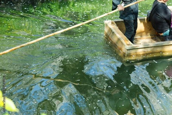 Obraz 木造の小舟で客を乗せて操船する船頭の男性｜伝統的な川下りの風景