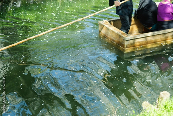 Obraz 木造の小舟で客を乗せて操船する船頭の男性｜伝統的な川下りの風景