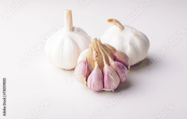 Obraz Garlic bulb
