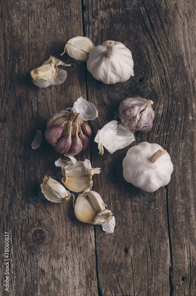 Obraz Aromatic garlic