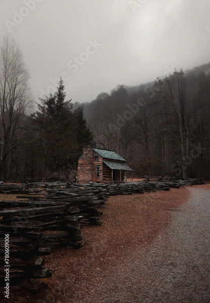 Obraz house in the mountains