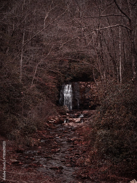 Obraz Waterfall in the forest 