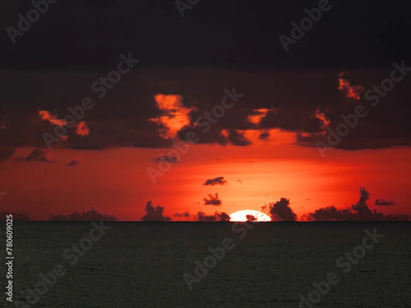 Obraz Sunset on a beach