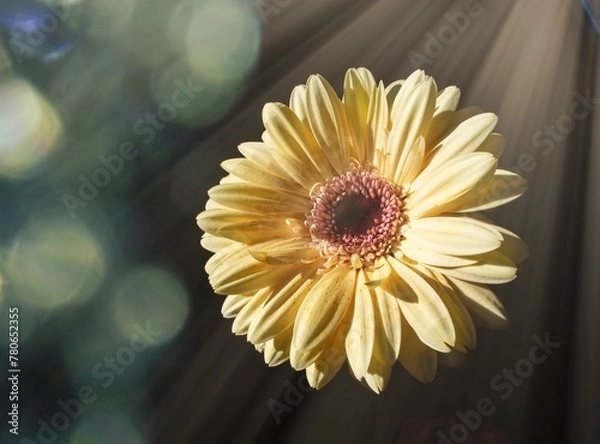 Obraz OLYMPUS DIGITAL CAMERA