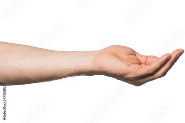 Fototapeta Empty open hand