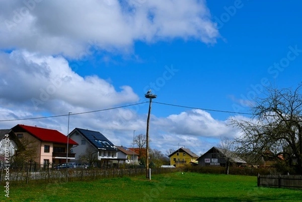 Fototapeta Village Dobrava pri Škocjanu with white storknesting at the top of electricity pole in Dolenjska, Slovenia