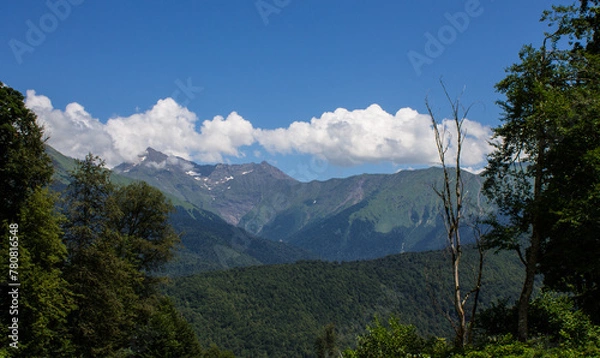 Obraz Beautiful panoramic mountain landscape with green trees and mountain slopes on a sunny summer day in Krasnaya Polyana in Russia