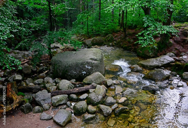 Fototapeta górski potok, wartki strumień leśny płynący miedzy kamieniami, a mountain stream, a fast forest stream flowing between stones
