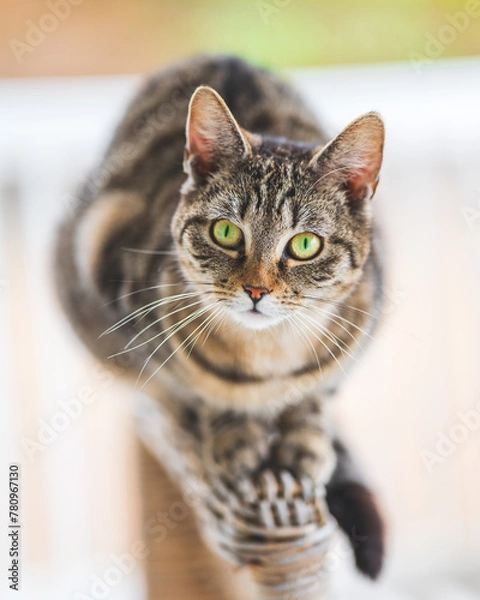 Fototapeta Celle, 24.06.2024