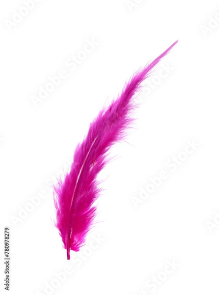 Fototapeta Fluffy beautiful magenta feather isolated on white