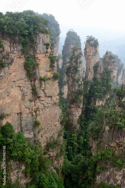 Fototapeta Sandstone pillars rise above the lush forest of Zhangjiajie National Forest Park in Wulingyuan Scenic Area, China.
