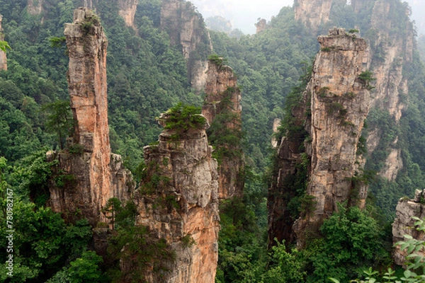 Fototapeta Sandstone pillars rise above the lush forest of Zhangjiajie National Forest Park in Wulingyuan Scenic Area, China.