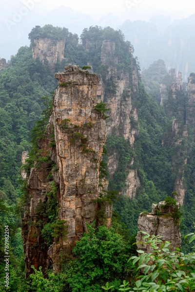 Fototapeta Sandstone pillars rise above the lush forest of Zhangjiajie National Forest Park in Wulingyuan Scenic Area, China.