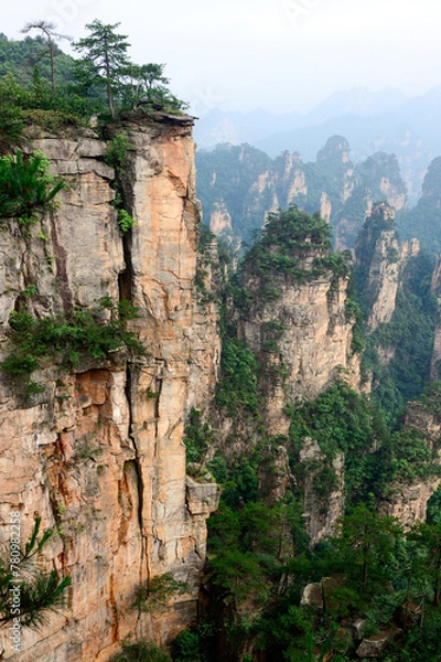 Fototapeta Sandstone pillars rise above the lush forest of Zhangjiajie National Forest Park in Wulingyuan Scenic Area, China.