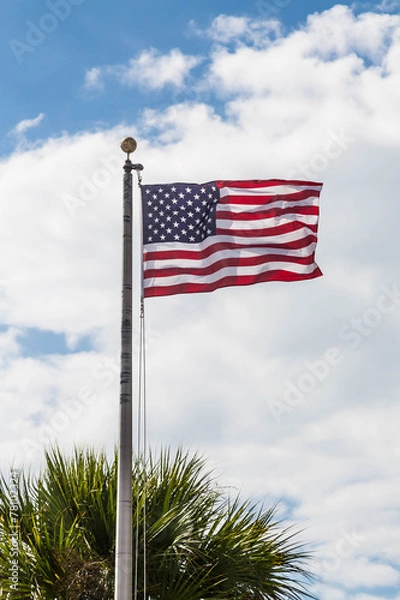 Obraz American Flag Blowing Over Palm Tree