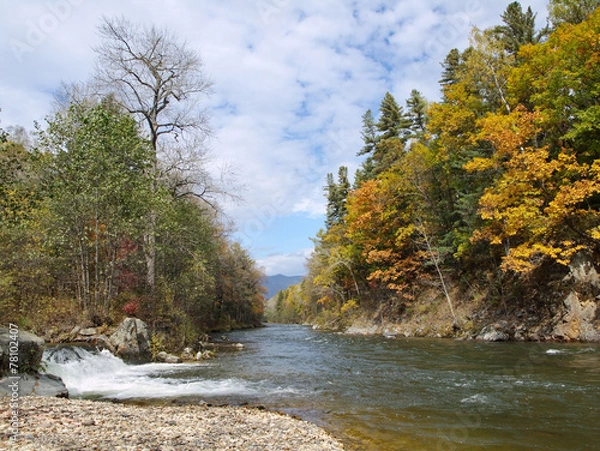 Obraz Rapid taiga river Kema