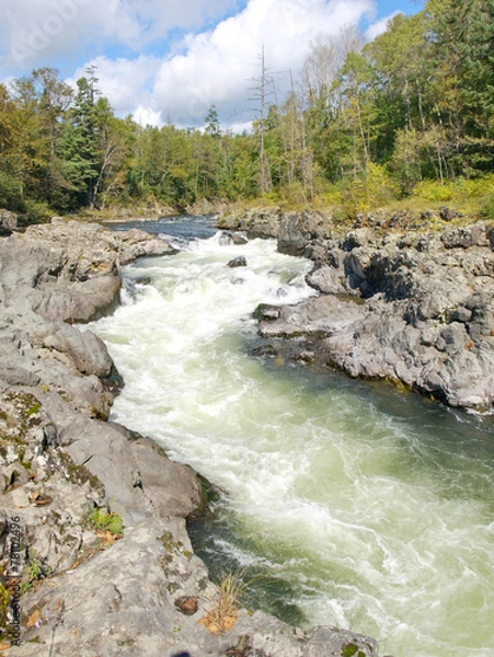 Obraz Rough taiga river