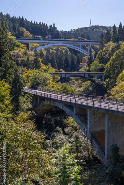 Fototapeta 鉄橋を走る電車