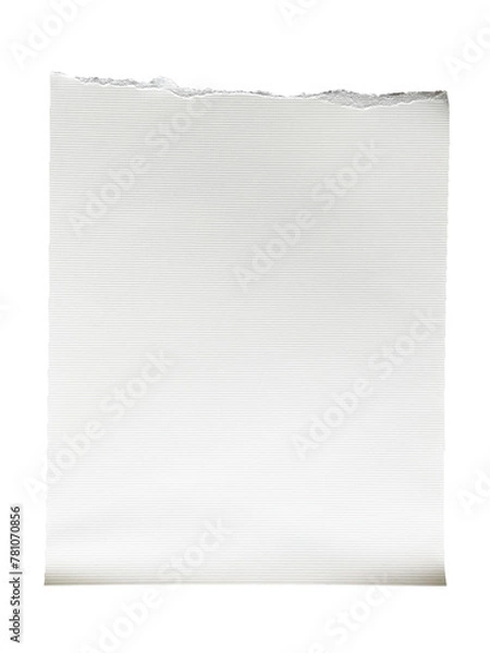 Fototapeta Ripped Paper note memo grid vintage scrapbook high quality isolated	
