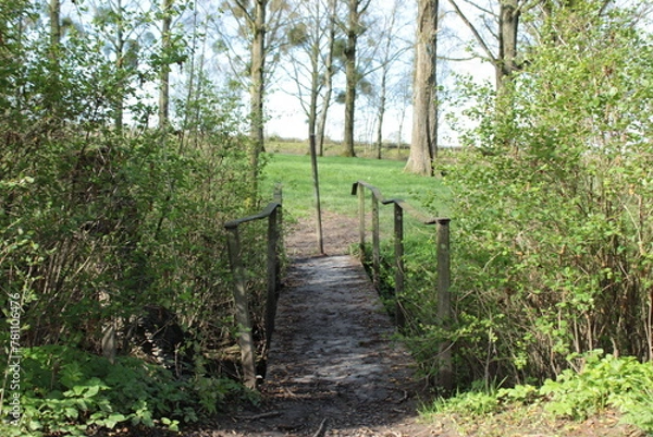 Obraz Petit pont abandonné