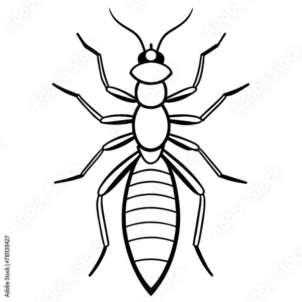 Obraz spider isolated