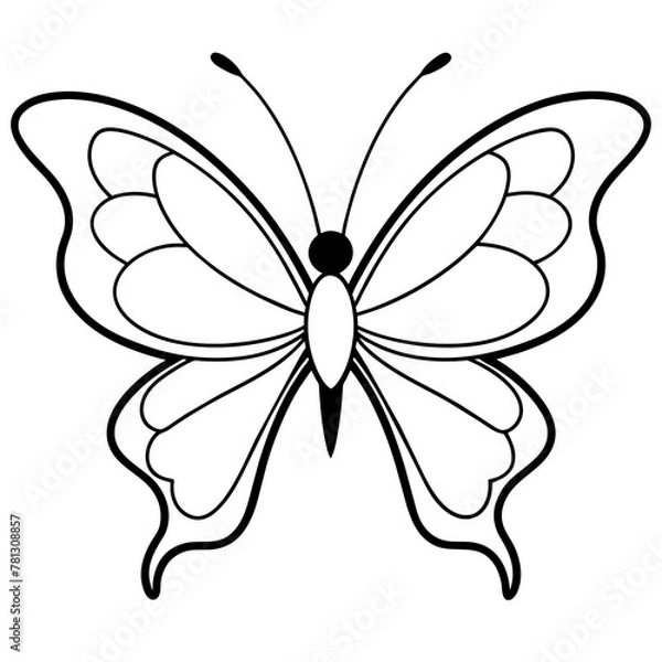 Fototapeta     Butterfly vector illustration with line art..

