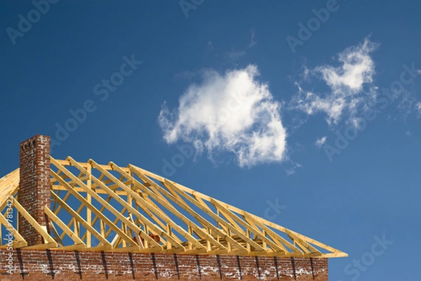 Obraz constructing of the roof