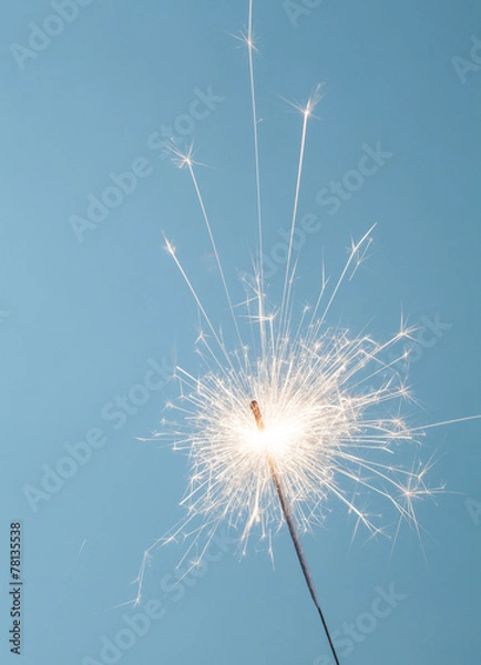 Obraz Sparkler