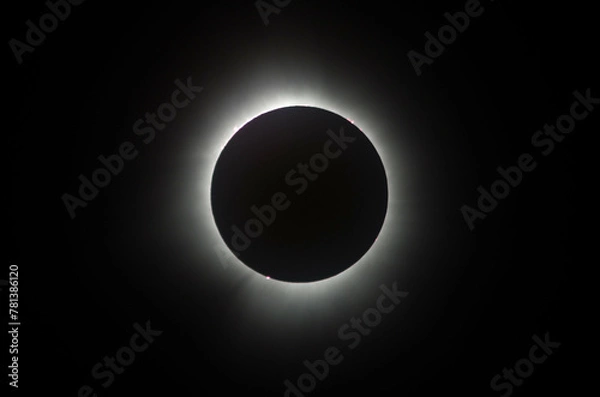 Fototapeta Solar Eclipse 2024 complete series