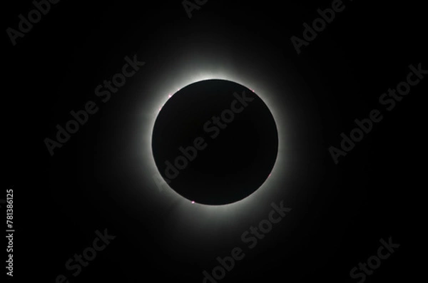 Fototapeta Solar Eclipse 2024 complete series