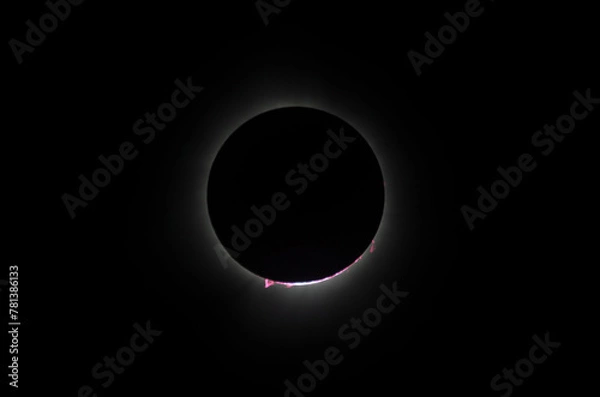 Fototapeta Solar Eclipse 2024 complete series