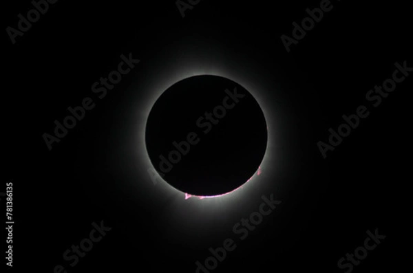 Fototapeta Solar Eclipse 2024 complete series