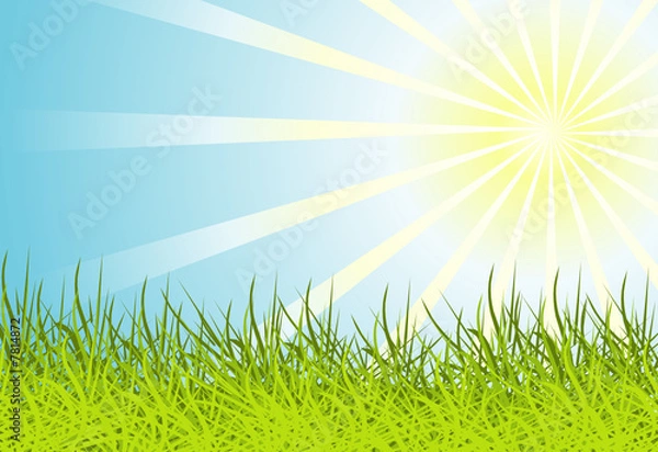 Fototapeta Sun and grass background
