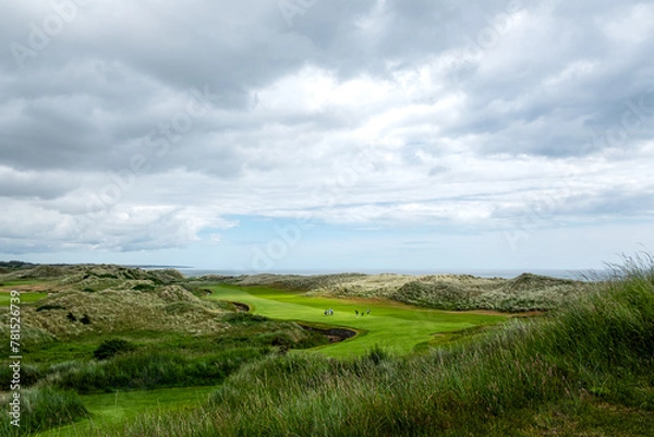 Fototapeta An hilly golf course facing the sea in Scotland