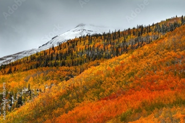 Obraz A Journey Through Time And Light