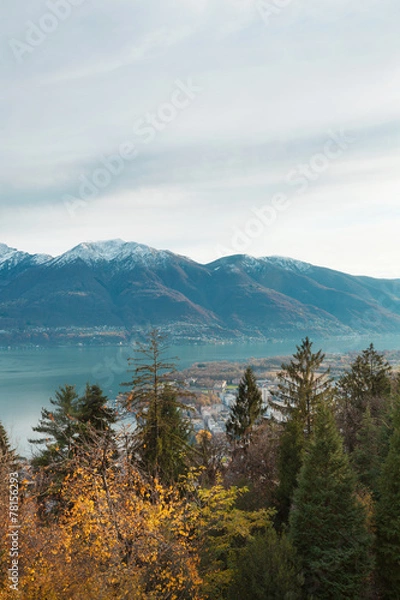 Fototapeta autumn landscape