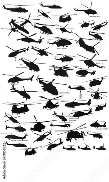 Obraz pictos helicos