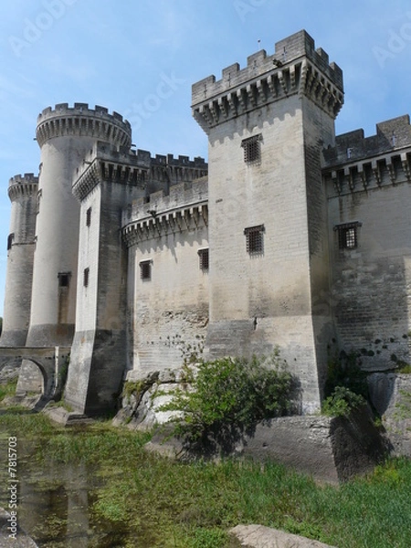 Fototapeta tarascon2