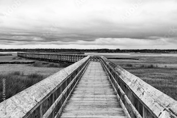 Obraz boardwalk into the marsh