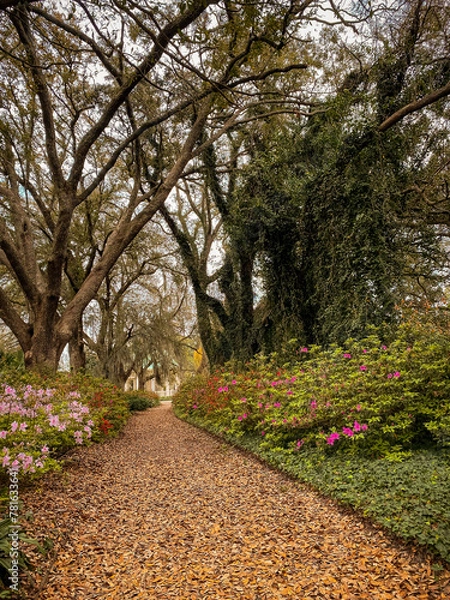 Obraz Footpath in the Prk
