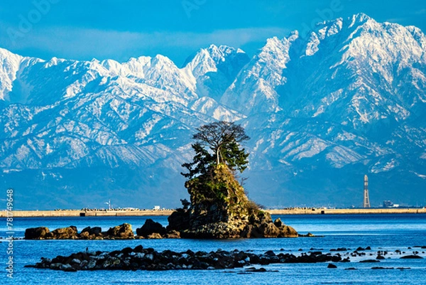 Obraz 冬の雨晴海岸から眺める立山連峰