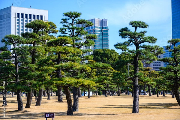 Obraz parques en japon