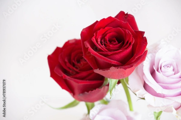 Fototapeta 赤い薔薇