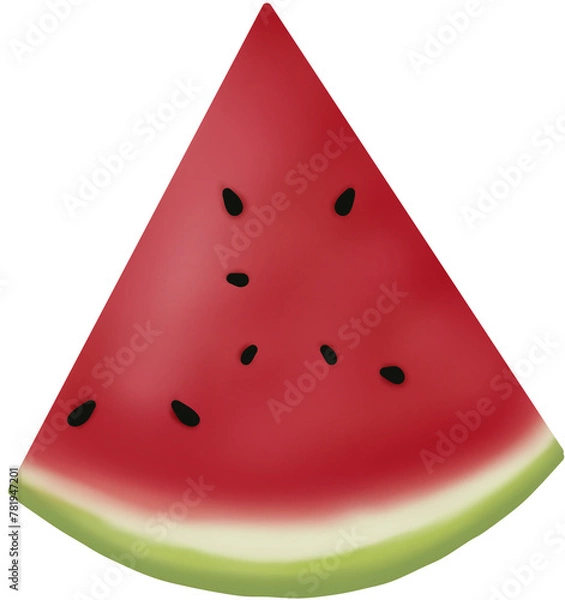 Obraz slice of watermelon