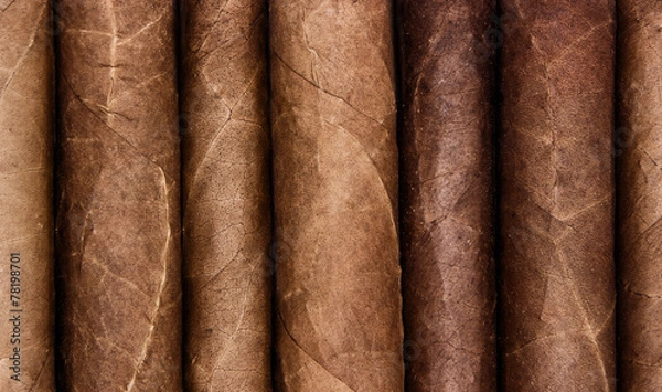 Fototapeta Cigars in a row with space for text. Close-up background