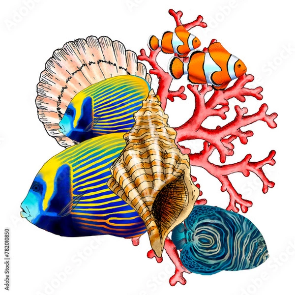 Fototapeta Illustrated composition of marine elements such as fish, shells and corals