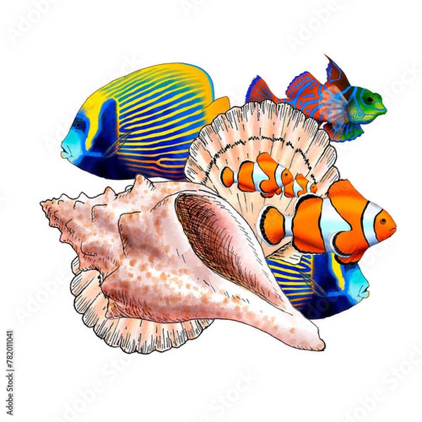 Fototapeta Illustrated composition of marine elements such as fish, shells and corals