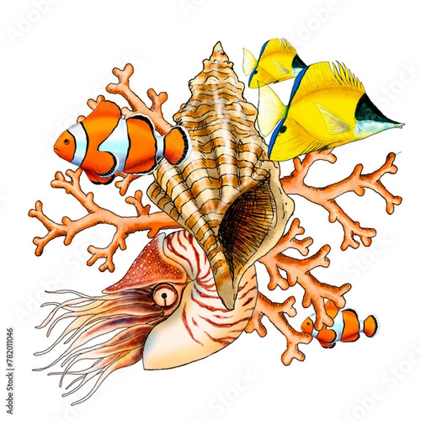 Fototapeta Illustrated composition of marine elements such as fish, shells and corals