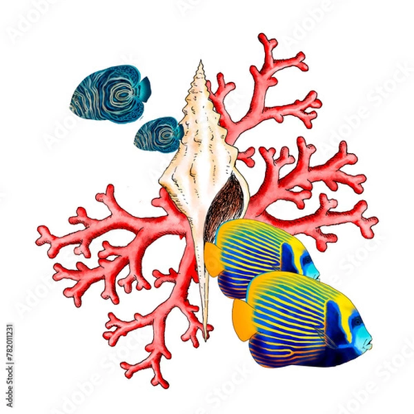 Fototapeta Illustrated composition of marine elements such as fish, shells and corals